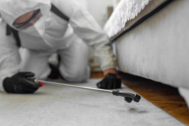 Professional Termite Control technician working in Hatch, NM